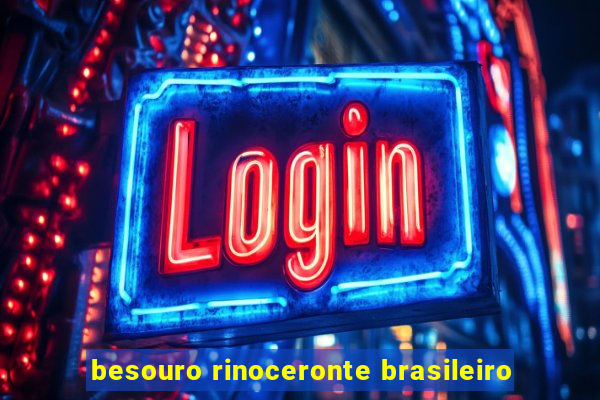 besouro rinoceronte brasileiro